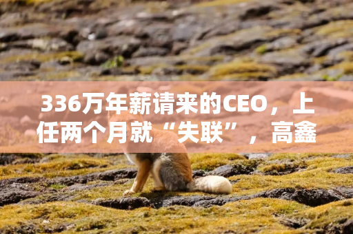 336万年薪请来的CEO，上任两个月就“失联”，高鑫零售的转型阵痛期