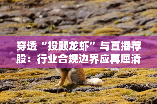 穿透“投顾龙虾”与直播荐股：行业合规边界应再厘清