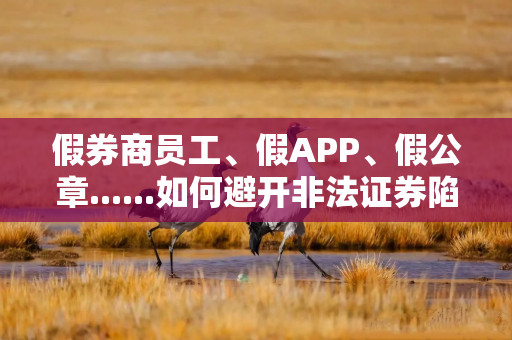 假券商员工、假APP、假公章......如何避开非法证券陷阱？