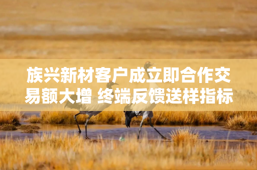 族兴新材客户成立即合作交易额大增 终端反馈送样指标未完全达标