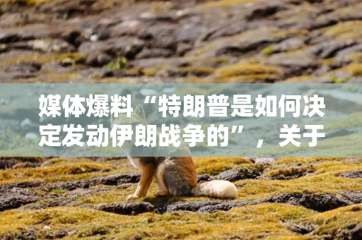 媒体爆料“特朗普是如何决定发动伊朗战争的”，关于霍尔木兹海峡、委内瑞拉和结束战争计划