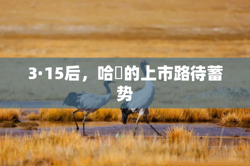 3·15后，哈啰的上市路待蓄势