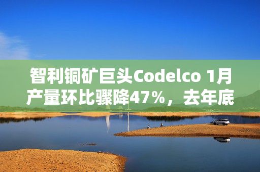 智利铜矿巨头Codelco 1月产量环比骤降47%，去年底增产数据疑遭“注水”