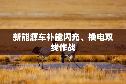 新能源车补能闪充、换电双线作战