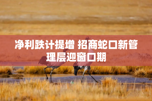 净利跌计提增 招商蛇口新管理层迎窗口期