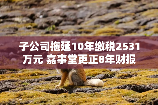 子公司拖延10年缴税2531万元 嘉事堂更正8年财报