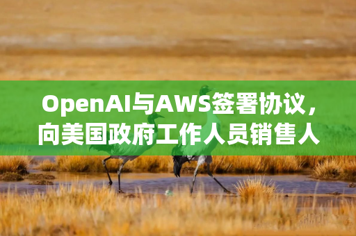 OpenAI与AWS签署协议，向美国政府工作人员销售人工智能