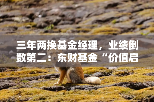 三年两换基金经理，业绩倒数第二：东财基金“价值启航”为何迷失