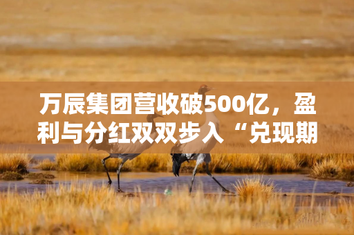 万辰集团营收破500亿，盈利与分红双双步入“兑现期”