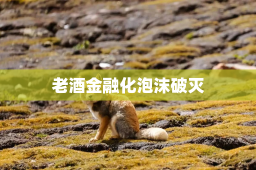老酒金融化泡沫破灭