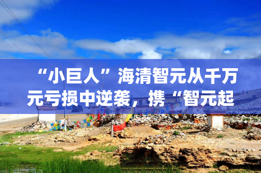 “小巨人”海清智元从千万元亏损中逆袭，携“智元起源大模型”递表港交所|港E声