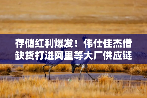 存储红利爆发！伟仕佳杰借缺货打进阿里等大厂供应链，三年净利复合增速锚定20%