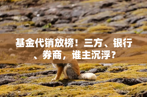 基金代销放榜！三方、银行、券商，谁主沉浮？