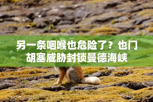 另一条咽喉也危险了？也门胡塞威胁封锁曼德海峡