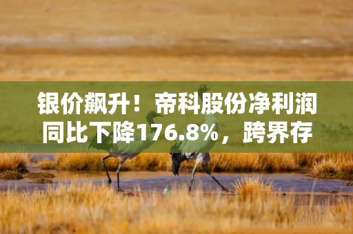 银价飙升！帝科股份净利润同比下降176.8%，跨界存储能否破局“增收不增利？”