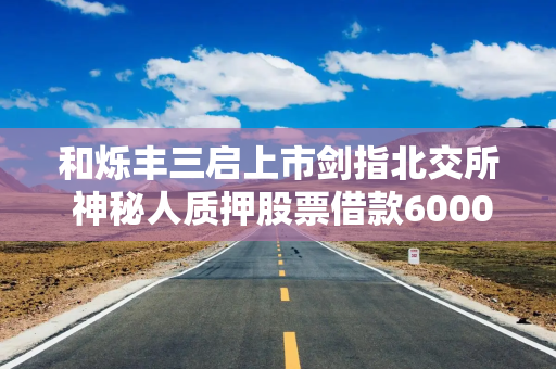 和烁丰三启上市剑指北交所 神秘人质押股票借款6000万突击押宝