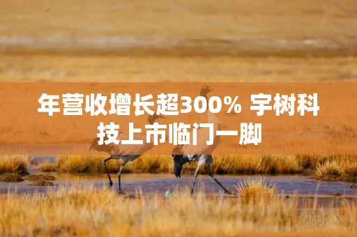 年营收增长超300% 宇树科技上市临门一脚