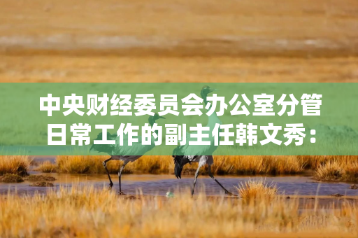中央财经委员会办公室分管日常工作的副主任韩文秀： 保持经济向新向优向好发展 为世界注入更多稳定性确定性