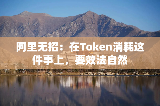 阿里无招：在Token消耗这件事上，要效法自然