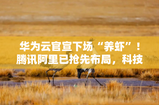 华为云官宣下场“养虾”！腾讯阿里已抢先布局，科技巨头激战智能体赛道