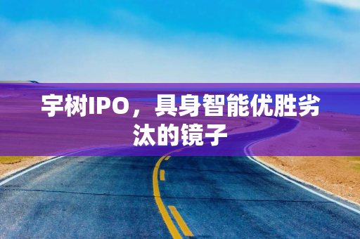 宇树IPO，具身智能优胜劣汰的镜子