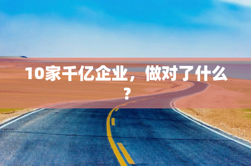 10家千亿企业，做对了什么？