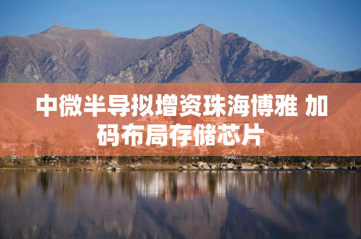 中微半导拟增资珠海博雅 加码布局存储芯片