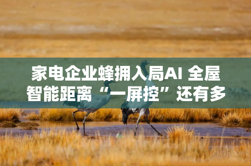 家电企业蜂拥入局AI 全屋智能距离“一屏控”还有多远