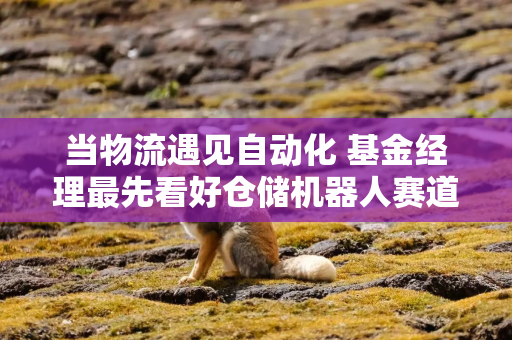 当物流遇见自动化 基金经理最先看好仓储机器人赛道