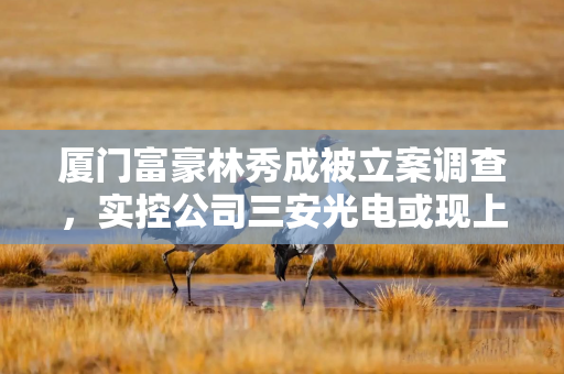 厦门富豪林秀成被立案调查，实控公司三安光电或现上市以来首次年度亏损
