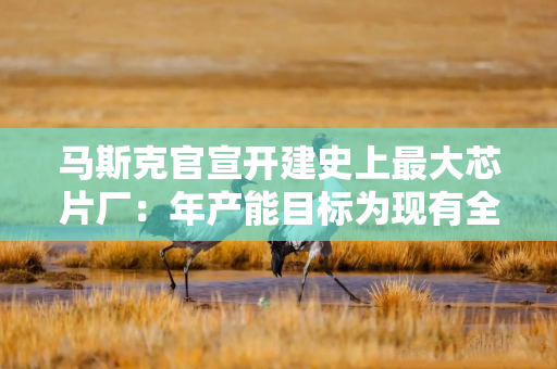 马斯克官宣开建史上最大芯片厂：年产能目标为现有全球产能50倍，80%将直接服务太空任务