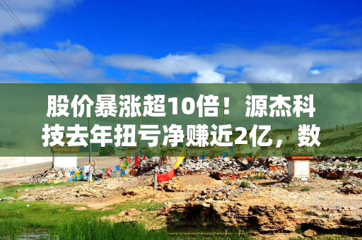 股价暴涨超10倍！源杰科技去年扭亏净赚近2亿，数据中心业务毛利率72%