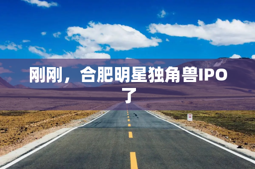 刚刚，合肥明星独角兽IPO了