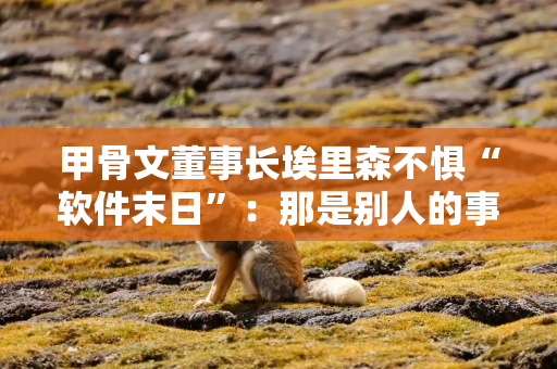 甲骨文董事长埃里森不惧“软件末日”：那是别人的事，与我们无关