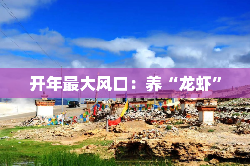 开年最大风口：养“龙虾”