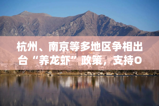 杭州、南京等多地区争相出台“养龙虾”政策，支持OpenClaw&OPC-STC发展