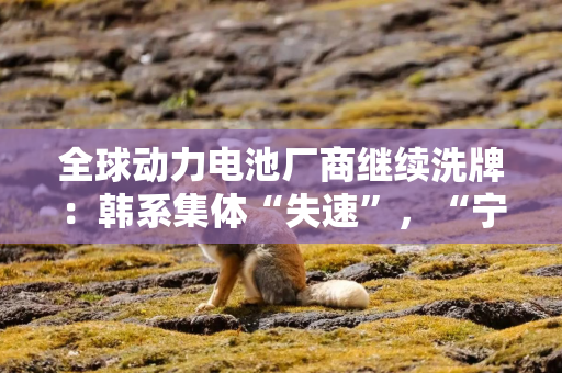 全球动力电池厂商继续洗牌：韩系集体“失速”，“宁王”独占近半壁江山