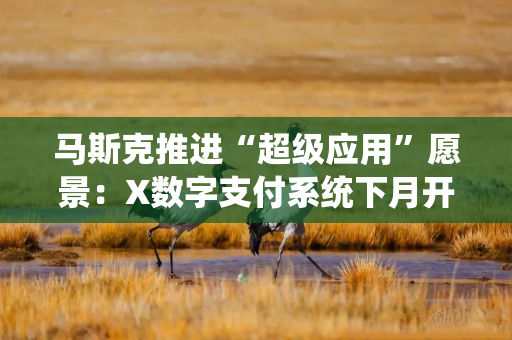 马斯克推进“超级应用”愿景：X数字支付系统下月开启早期测试