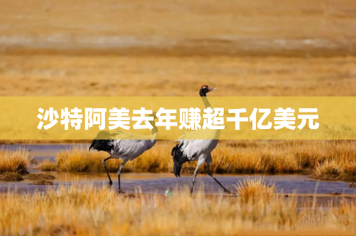 沙特阿美去年赚超千亿美元