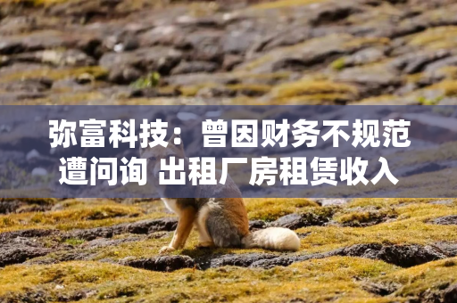 弥富科技：曾因财务不规范遭问询 出租厂房租赁收入或现信披疑云