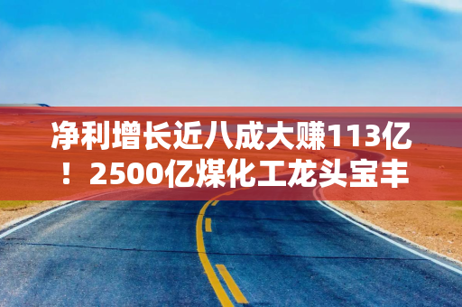 净利增长近八成大赚113亿！2500亿煤化工龙头宝丰能源赚麻了，中东资金加仓