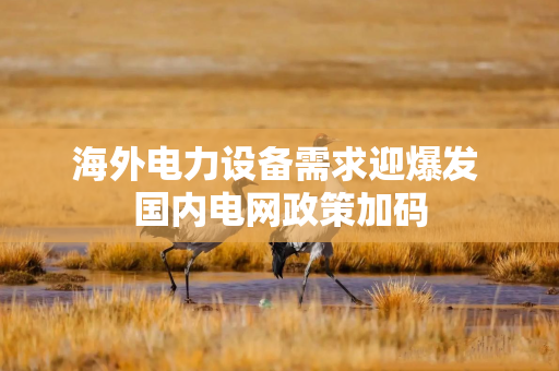 海外电力设备需求迎爆发 国内电网政策加码
