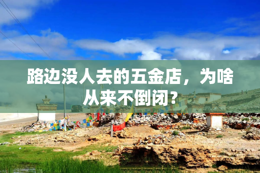 路边没人去的五金店，为啥从来不倒闭？