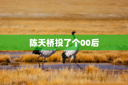 陈天桥投了个00后