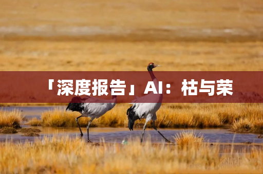 「深度报告」AI：枯与荣