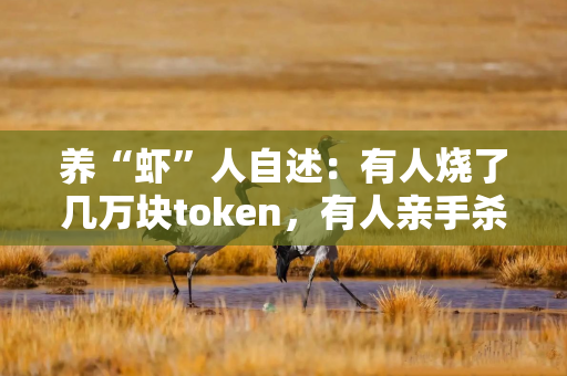 养“虾”人自述：有人烧了几万块token，有人亲手杀死了自己的“龙虾”