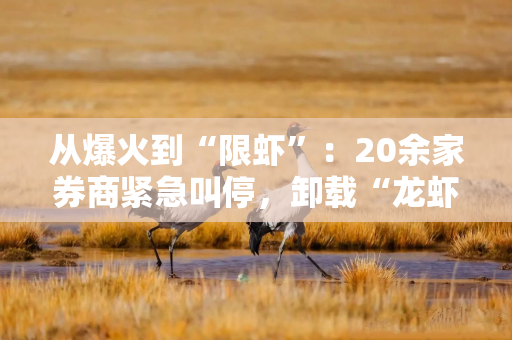 从爆火到“限虾”：20余家券商紧急叫停，卸载“龙虾”服务悄然兴起