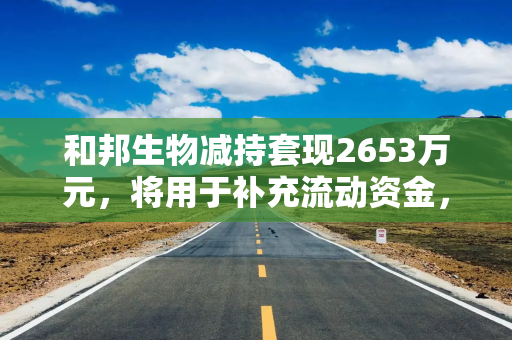 和邦生物减持套现2653万元，将用于补充流动资金，上周股价“三连涨”