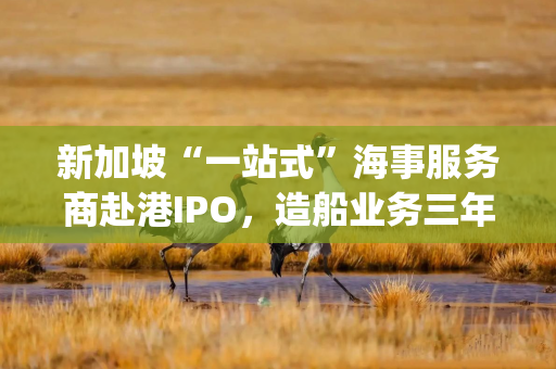 新加坡“一站式”海事服务商赴港IPO，造船业务三年内收入占比升至31%|港E声