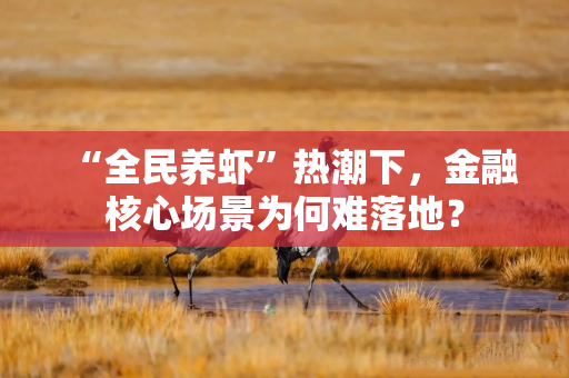 “全民养虾”热潮下，金融核心场景为何难落地？
